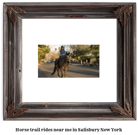 horse trail rides near me in Salisbury, New York